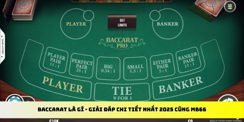 365ok gà chọi cu cần