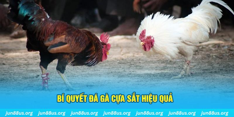 365ok xin 1 slot là gì