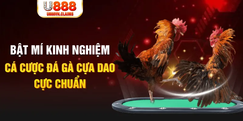 365ok tỷ lệ cá cược châu á là gì