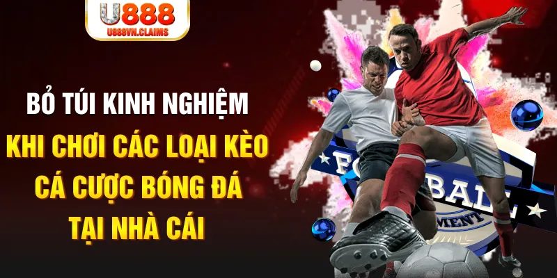 365ok Tài Xỉu
