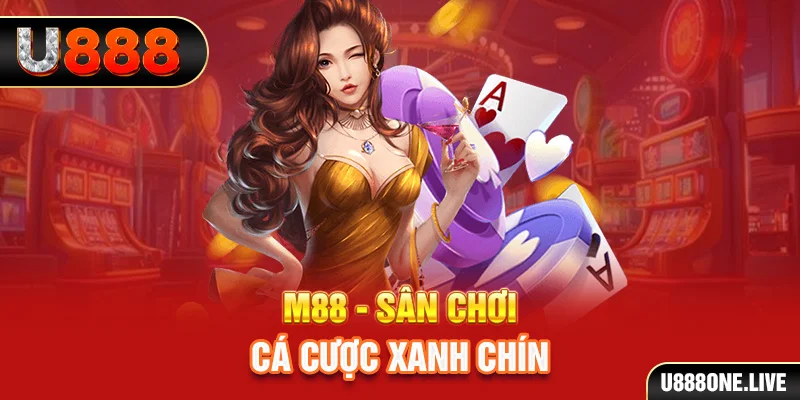 365ok xổ số miền nam hàng tuần