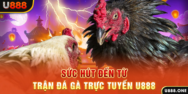 365ok nổ hũ b29 là gì