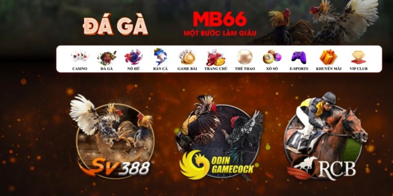 365ok đăng nhập poker số 1