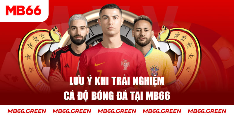 365ok cá cược là gì
