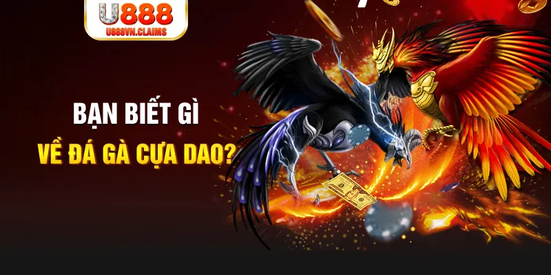 365ok nổ hủ là gì