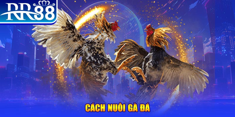 365ok xổ số an giang