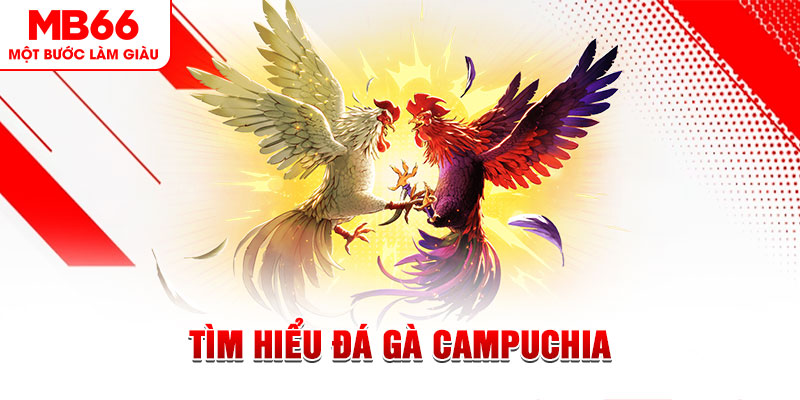 365ok game đánh bài trên máy tính