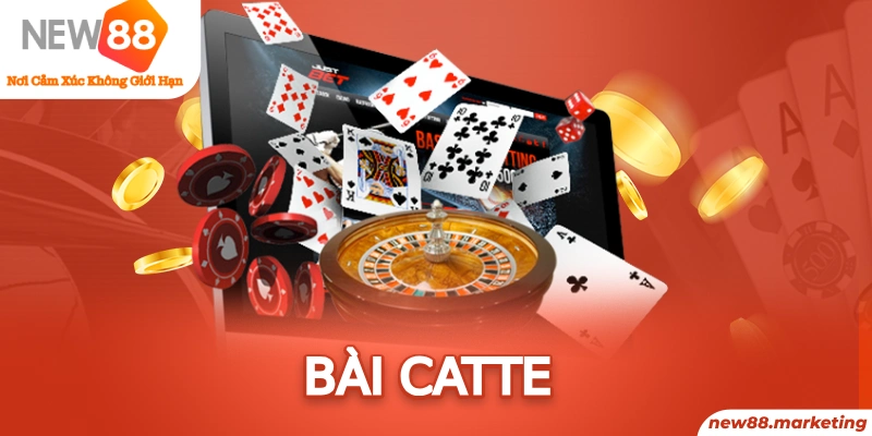 365ok gà chọi