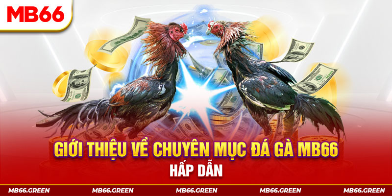 365ok đăng nhập sòng bạc đổi thưởng