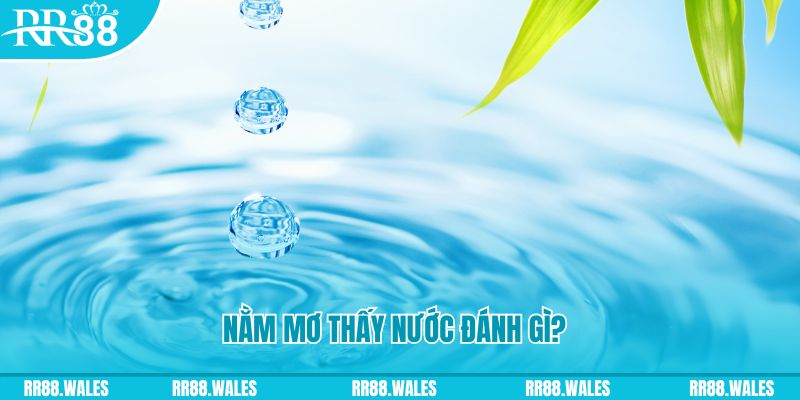 365ok TP Bắn cá