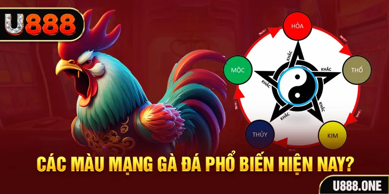 365ok trực tiếp đá gà 88