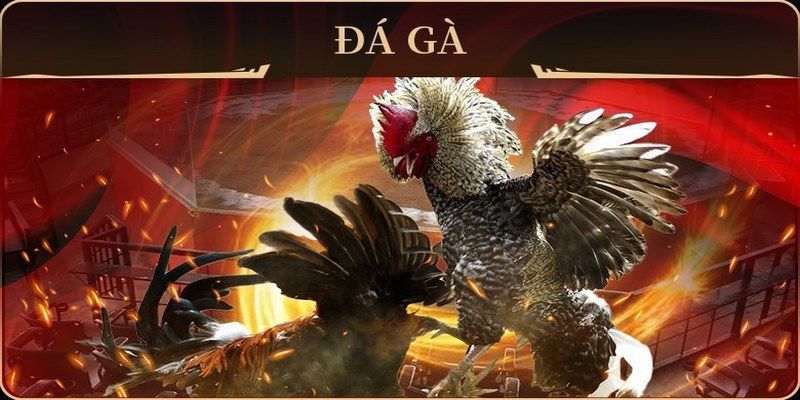 365ok xổ số miền nam thứ hai