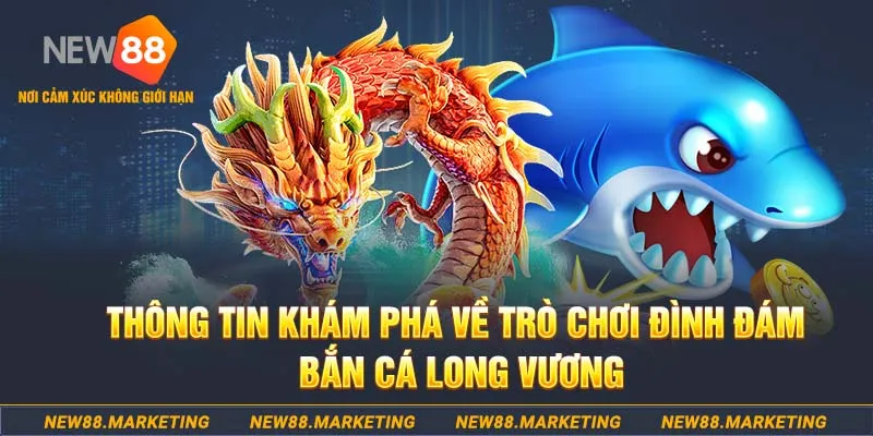 365ok baccarat lừa đảo như thế nào