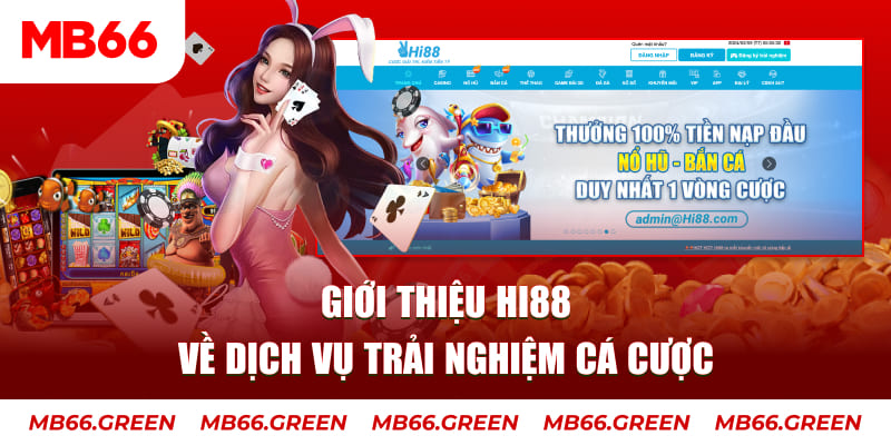365ok ga choi hoa phong