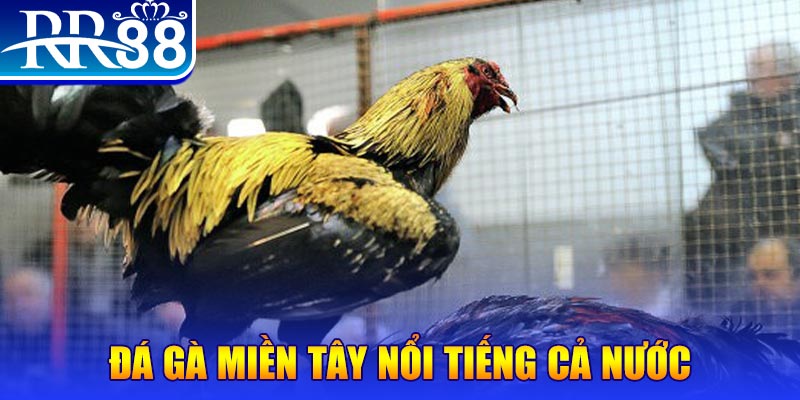 365ok JILI Game Bài 3d