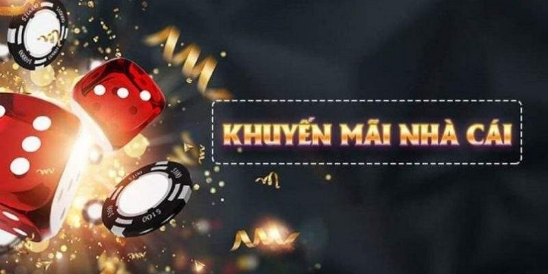 365ok what is live dealer casino