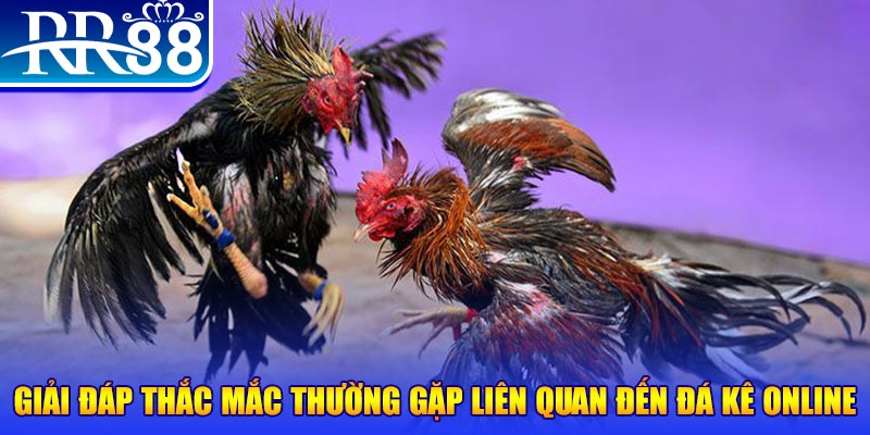 365ok xổ số đà lạt