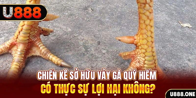 365ok nohu .mx nổ hủ là gì