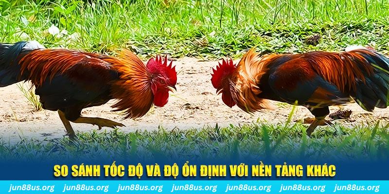 365ok đá gà hôm nay