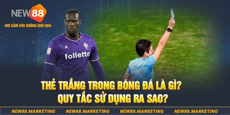 365ok gà chọi mộc hóa