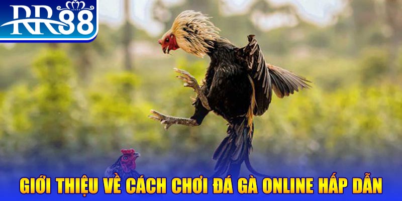 365ok game nổ hũ rút tiền mặt là gì