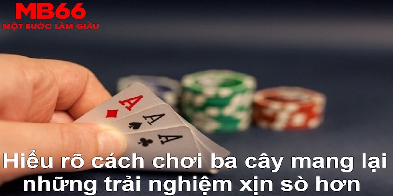 365ok xổ số đài bắc
