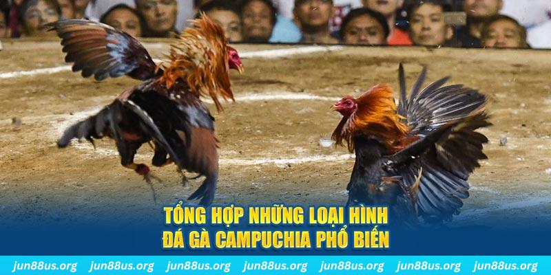 365ok đăng nhập nổ hũ 2024