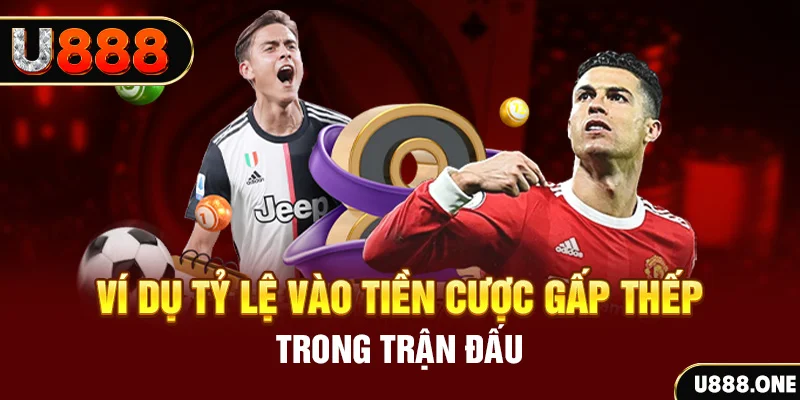 365ok kết quả xổ số 30 ngày