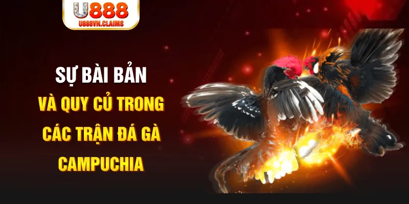 365ok YGR Điện Tử