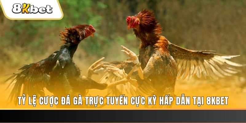 365ok đăng nhập phỏm trực tiếp