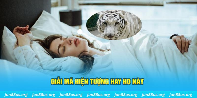 365ok đăng nhập nổ hũ uy tín