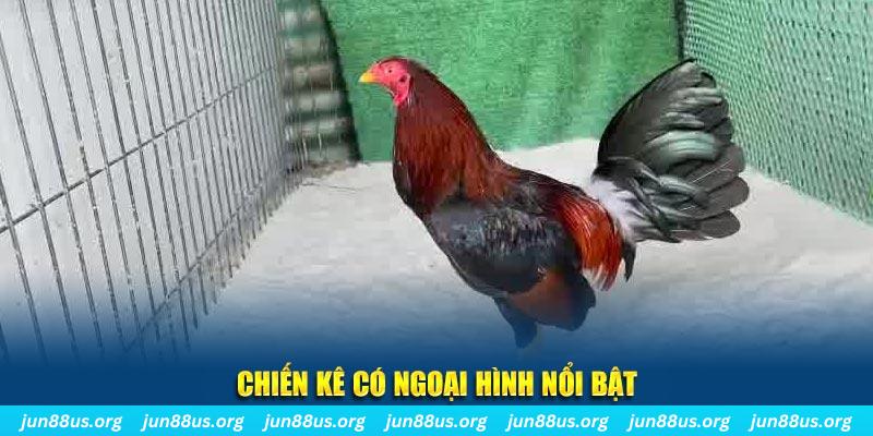 365ok chạy quảng cáo cho game bài bị phạt như thế nào