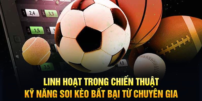 365ok trực tiếp đá gà c1