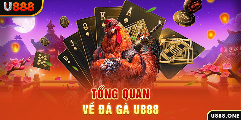 365ok ILOVEU Điện Tử