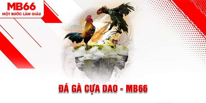 365ok đá gà sv388 gold