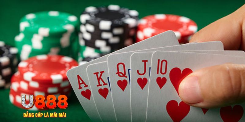 365ok đá gà trực tiếp thomo 67