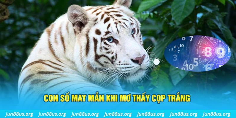 365ok đá gà trực tiếp 88
